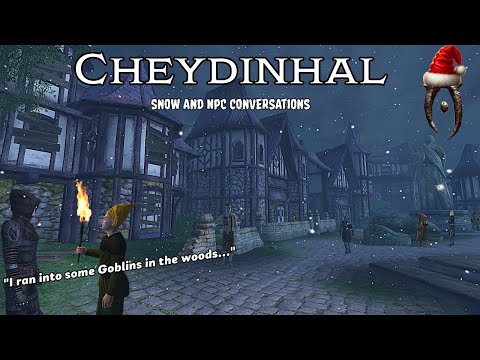A Relaxing Walk Around Cheydinhal In Snow - Oblivion NPC Conversations