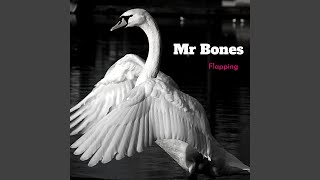 Flapping Music Video