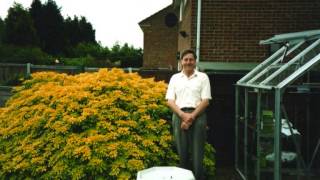 Chopin's Minute Waltz in Dflat