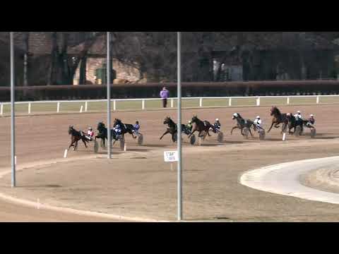 2019.03.02. 01. futam - IVORY BOY DÍJ