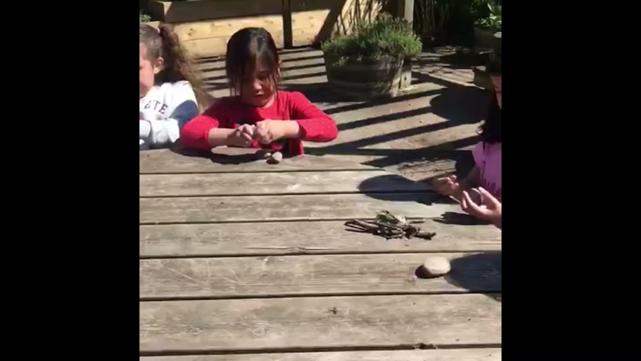 Year 1 Forest School