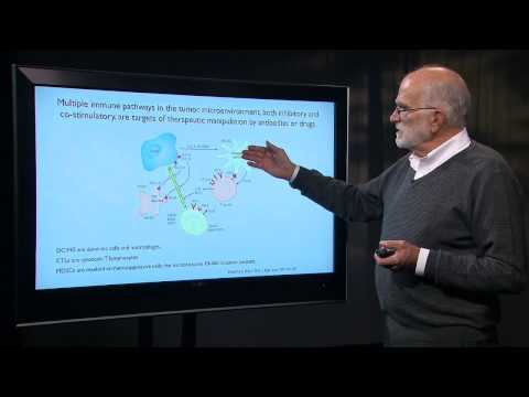 7.6 Cancer as an Evolutionary Process: Managing Chemotherapy