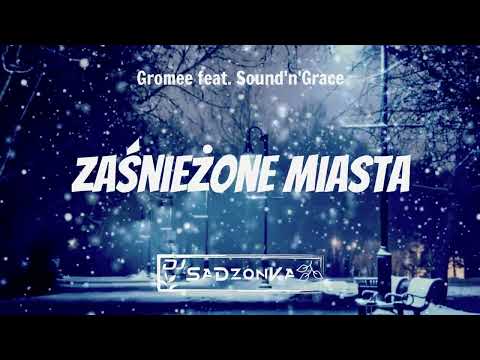 Gromee feat. Sound'n'Grace - Zaśnieżone Miasta (SaDzonKa Remix)