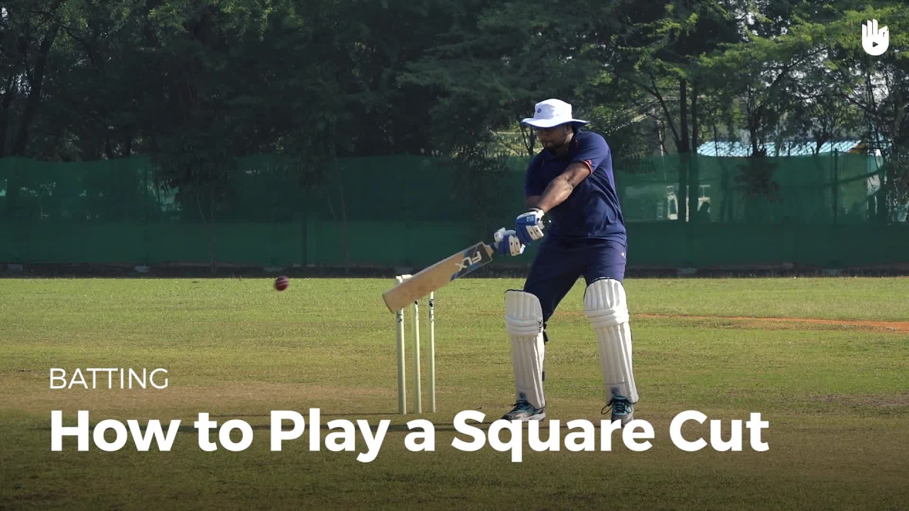 How to Play a Square Cut How to Play Cricket Sikana