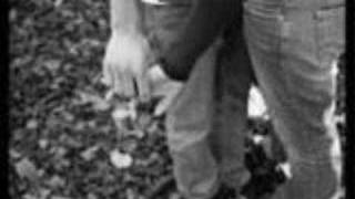 Boats and Birds-Gregory and the Hawk