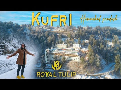 Kufri Snowfall - A beautiful hill station near Shimla Himachal || Royal Tulip Luxury rooms and Suite