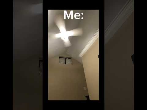 Would you punch him in the face for 2 mil?