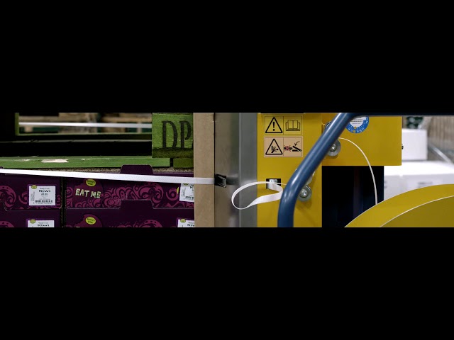 youtube video background