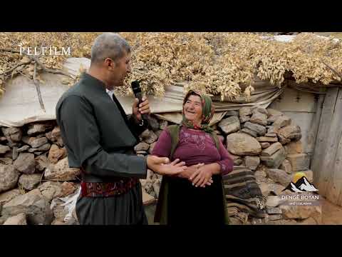 DENGÊ BOTAN - SIKÊT / QILEBAN