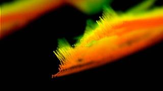 Mario and Stevie Biondi Live in Rome - Bom De Doer