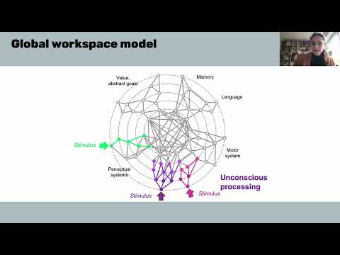 W2D5 - Mysteries - Consciousness C2 Activity