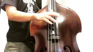 Video thumbnail for Double Bass Strings Thomastik Spirocore E,A,D & Pirastro Original flat-chrome solo ウッドベース スラップ by hide-doublebass