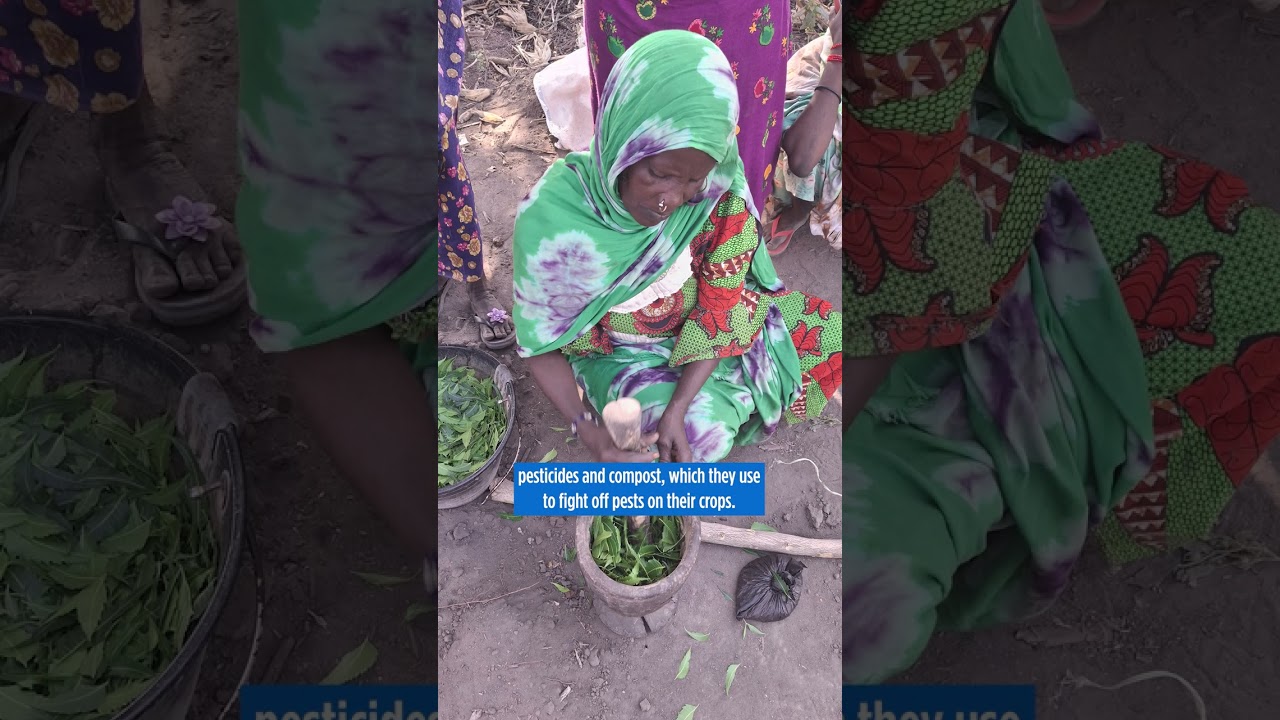 Supporting Farmers in Chad