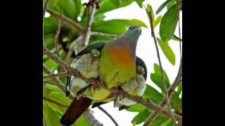 Baby's Gonna Smile Tonight (1978) - Annette feat. Mikel Paul