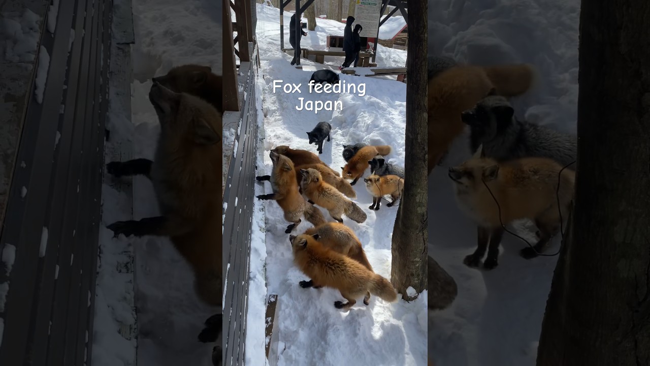 YouTube Short thumbnail