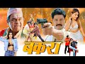 Brahmanandam Best Comedy Movie In Hindi Dubbed Bakara Full South Movies