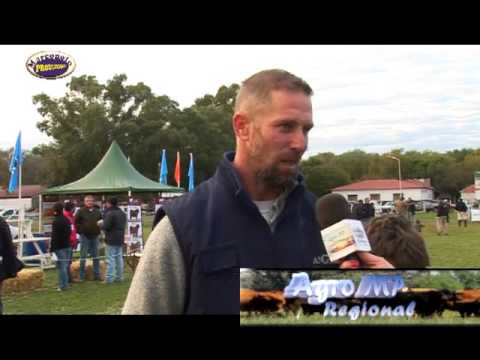 Angus Otoño en Bolivar, Gran Campeon Hembra Nota Lucas Lagrange Cabaña San Jose   2 09