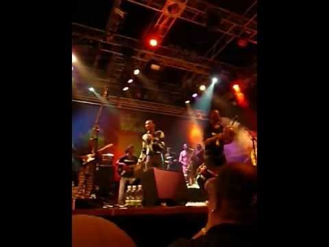 Seun Kuti & Egypt 80 live at Sunsplash Wiesen 2008, Austria