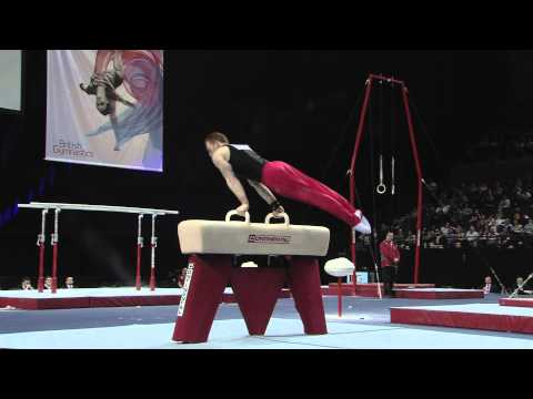 DANIEL PURVIS PH SENIOR BRITISH 2014 AA