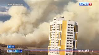 Жмых подсолнечный в Пензе