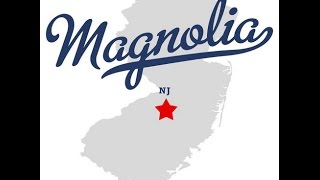 preview picture of video 'Tax Preparation Magnolia NJ - 856-452-0202'