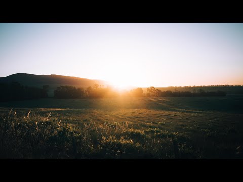 Lost in nature