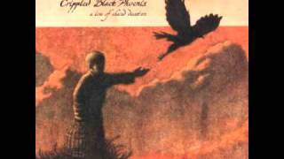 Crippled Black Phoenix - Goodnight, Europe