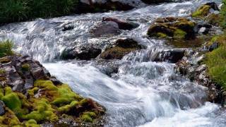 Download lagu Nidji   Heaven mp3