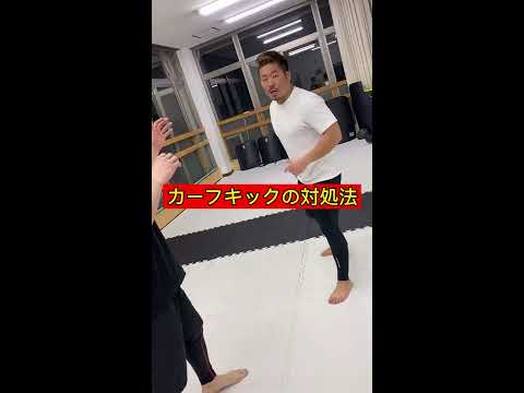 【カーフキックとは？】朝倉海を倒した堀口恭司のカーフキック対処法を空手家が解説