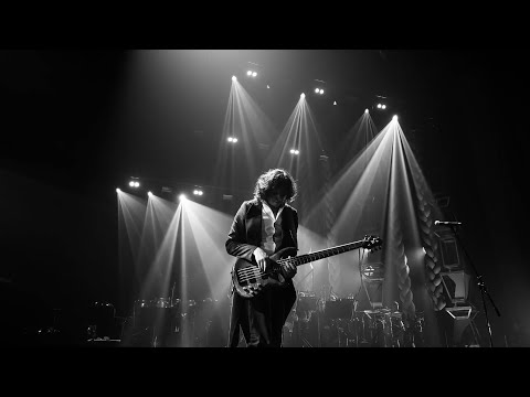 LUPII lui Calancea - De-ale basului