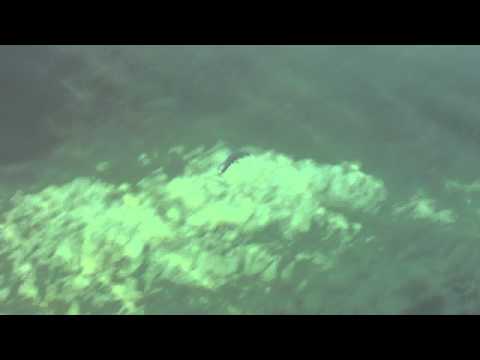 Savage Gear LB Soft 4Play 8cm 4g Swim&Jerk