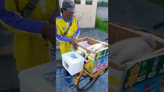 Download lagu Suara Ice Cream Campina mp3 Download lagu Suara Ice Cream Campina mp3