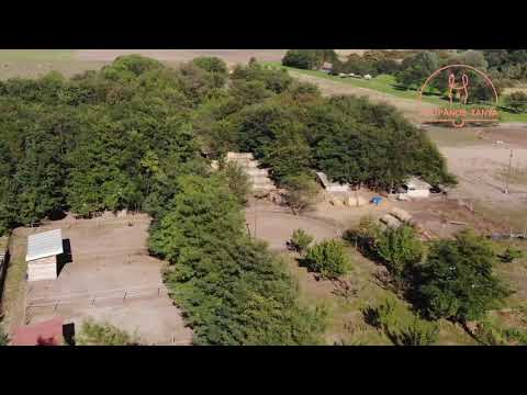 Tulipános Tanya drónnal - Cegléd