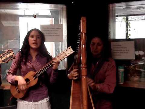 Guitarra y Fandango. Caña dulce y caña brava