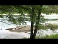 She Needs Me--George Jones