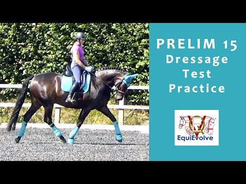 Prelim 4  (2008 Prelim 15) Dressage Test Learning Tool