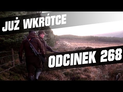 Darz Bór zapowiedz odcinka 268
