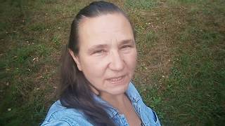 Наше маленькое стадо.  Как развести овец.