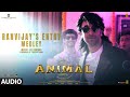 ANIMAL Ranvijay S Entry Medley Audio Ranbir Kapoor A R Rahman Threeory Band Sandeep Bhushan K