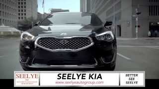 preview picture of video 'New 2015 Kia Cadenza Review in Kalamazoo, MI'