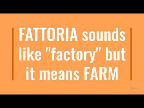 Pillole di Italiano - False Friends: Fattoria