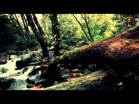 Cansu Koç ♫ ♥ ♪ Kömür Gözlüm