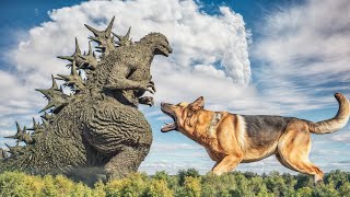 Godzilla Minus One Scares a Dog