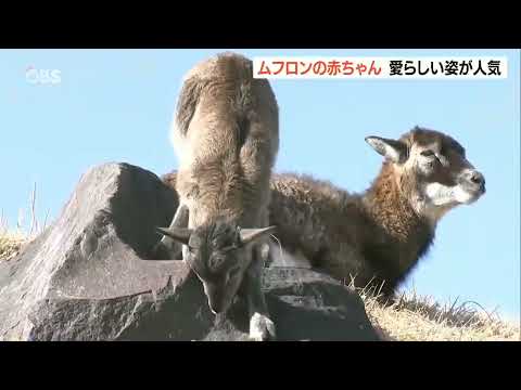 リダイレクトアイコン