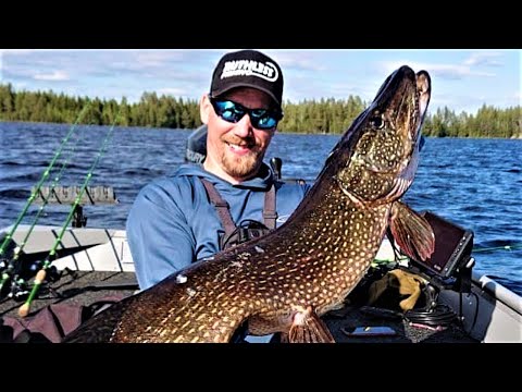 JÄTTILÄISHAUKI KIVIKOLTA! TAISTELU YLI 10KG HAUEN KANSSA | MERKKIPISTE KALASTUSTA | AHVEN | KUHA