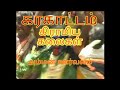 கரகாட்டம் அம்மன் கரகம்New Karakattam 2022 Latestammanbest Ka