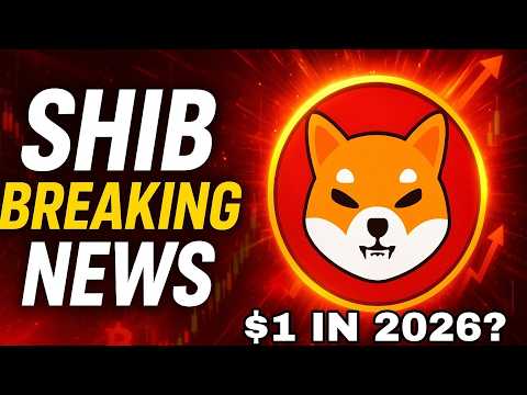 🚀 Shibainu Going on Moon   😍  Shib Coin New Update Today | Shibainu Crypto News
