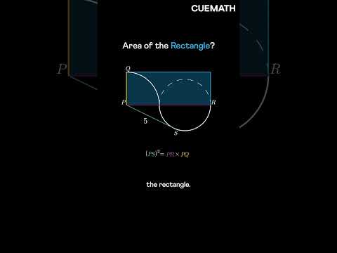 What is the area of this rectangle?