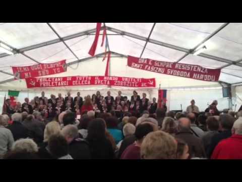 Hasta siempre Tržaški partizanski pevski zbor Pinko Tomažič/ Coro partigiano triestino Pinko Tomaži