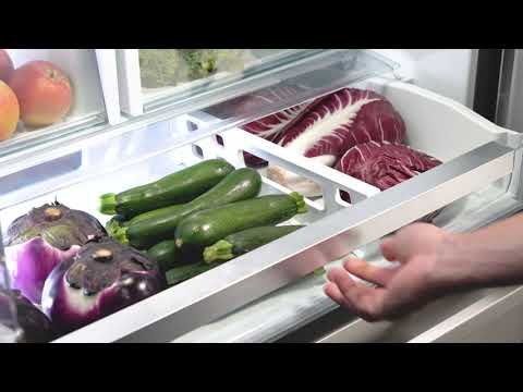 Bertazzoni | French Door Refrigerator